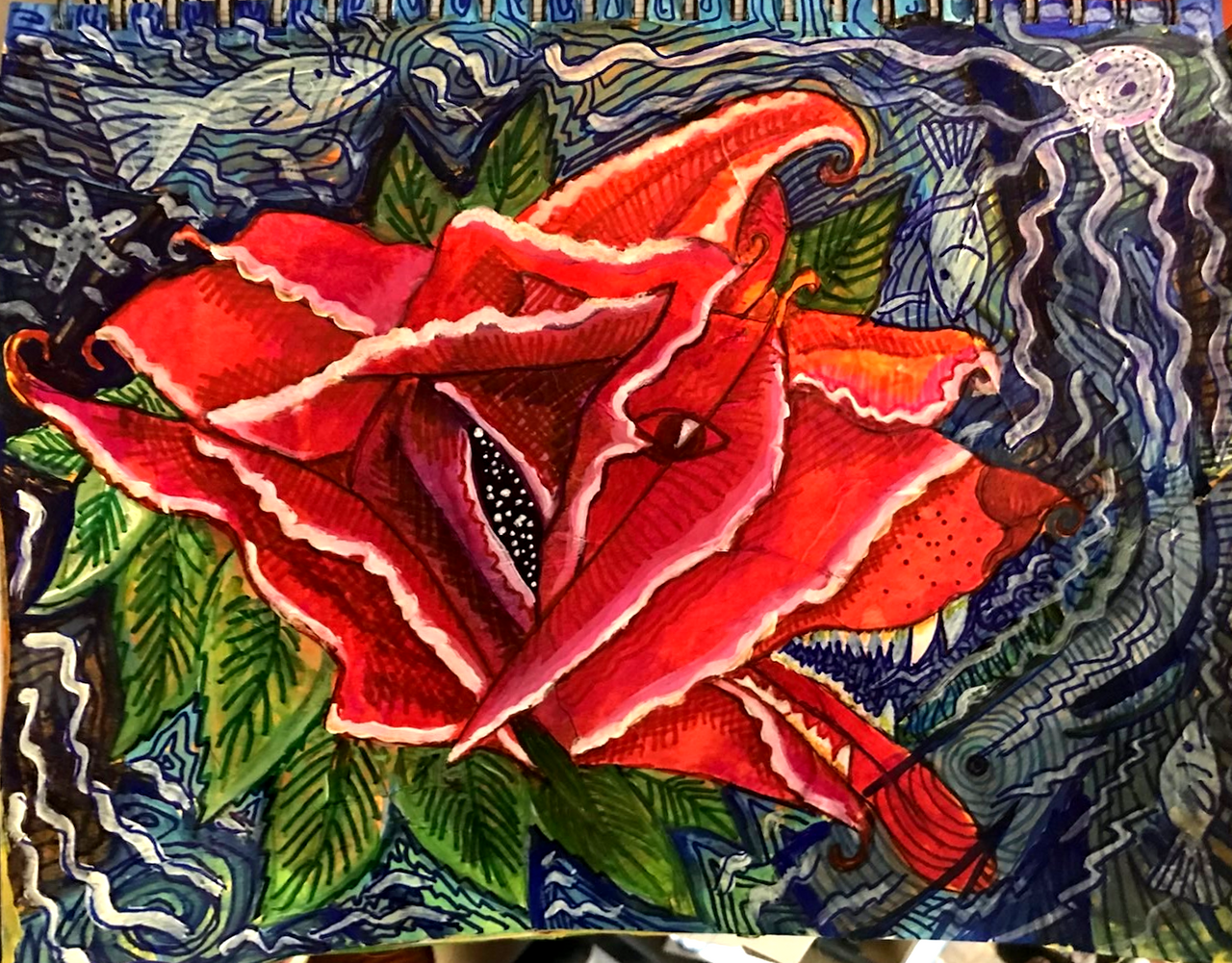 Image 4
