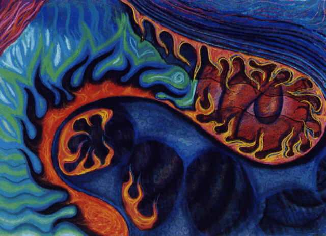 Intuitive Pastel Art FAWE 8 by Clairvoyant Intuitive Artist Joanna Whitney