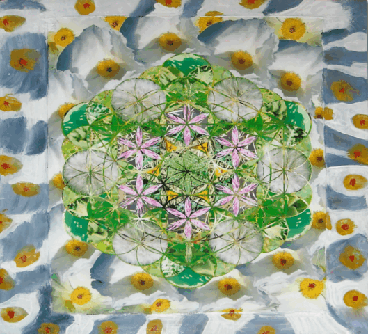 Intuitive Photo Collage by Clairvoyant Intuitive Artist Joanna Whitney
